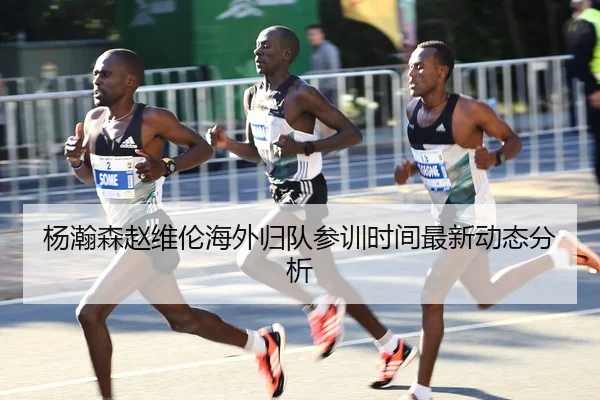 杨瀚森赵维伦海外归队参训时间最新动态分析